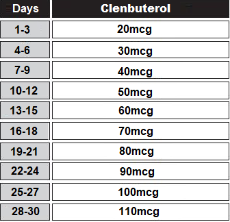 clenbuterol cycle for women